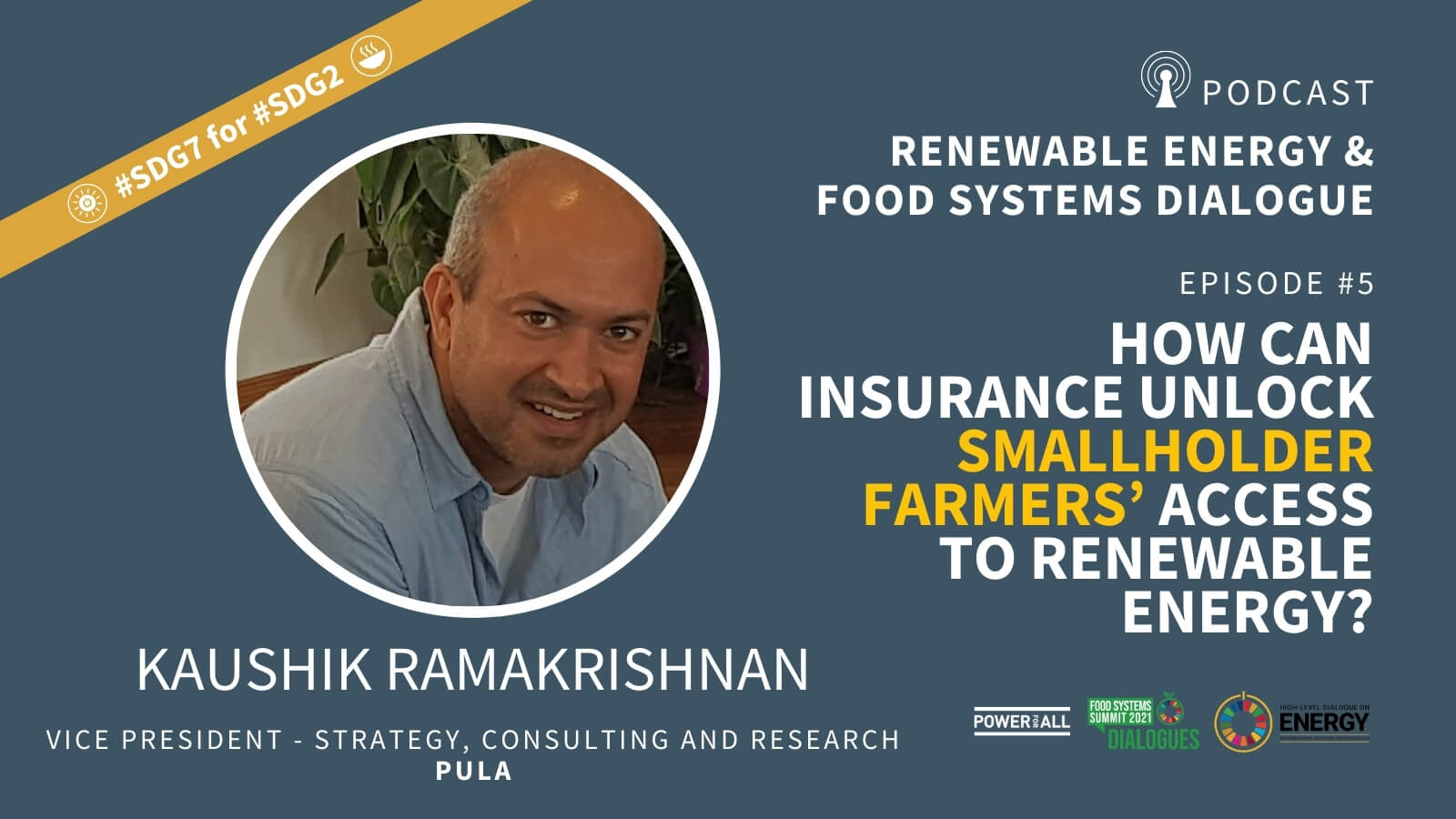 Interview with Kaushik Ramakrishnan; PULA  How can insurance unlock smallholder farmers’ access to renewable energy?.png