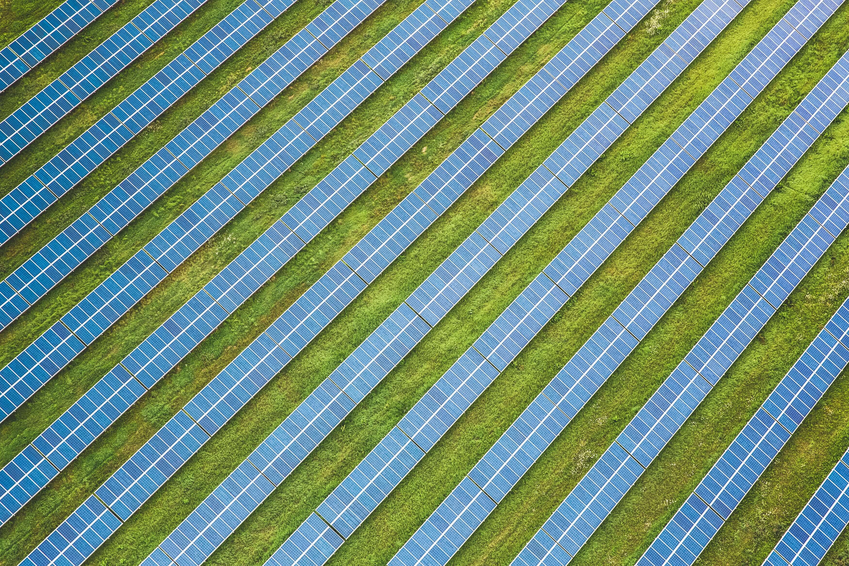 solar panels.jpeg