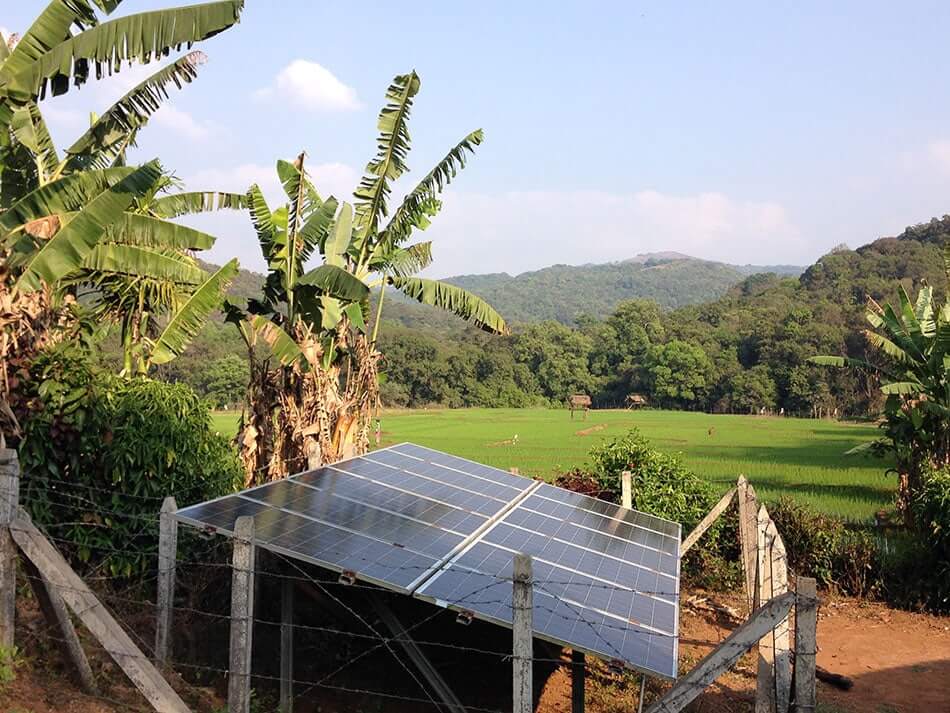 solar panel with banana tree