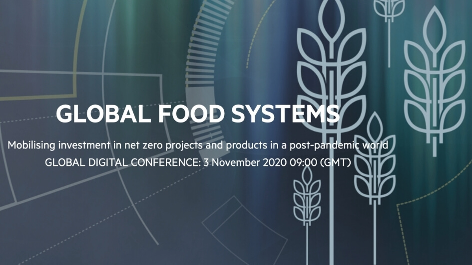 FT Global Food Systems 2020.jpg