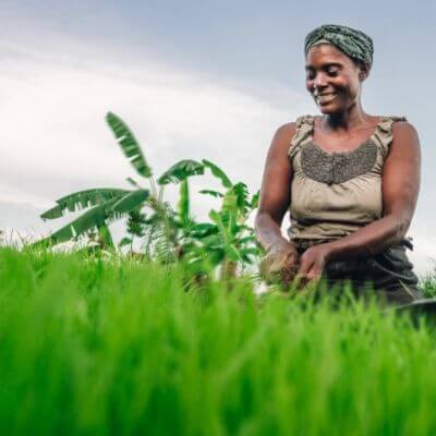 Crops and Kilowatts: Transformational Potential of Decentralized Renewable Energy in Africa's Agrifood Landscape.jpg