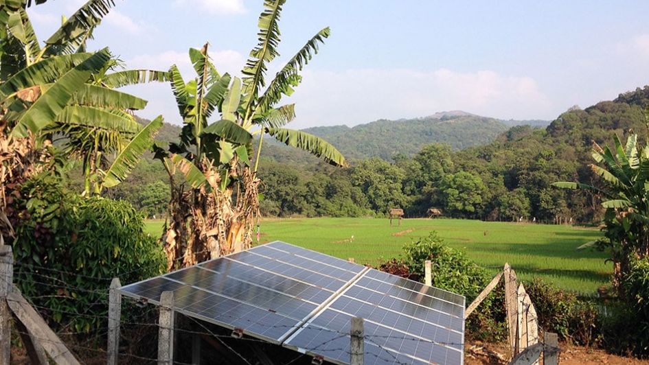 solar panel with banana tree