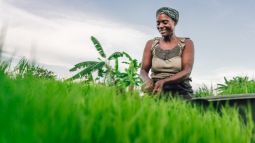 Crops and Kilowatts: Transformational Potential of Decentralized Renewable Energy in Africa's Agrifood Landscape.jpg